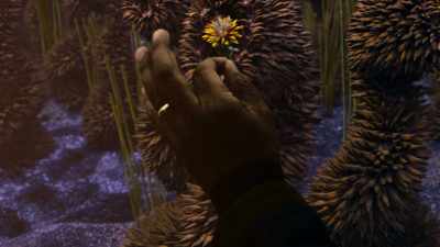 [waves and wind] - Cosmos: Possible Worlds