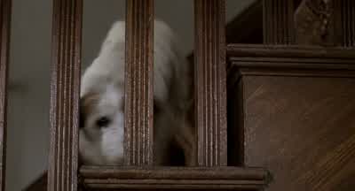 - WAYNE: Amy? - Honey, I Shrunk the Kids