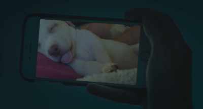 We had a sleep over the first
night before I adopted him. - Adopting Audrey
