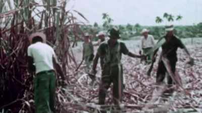 We had about 35 families, - Mafia Spies