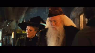 ...we actually have giant tree branches smashing into the windows... - Harry Potter and the Chamber of Secrets