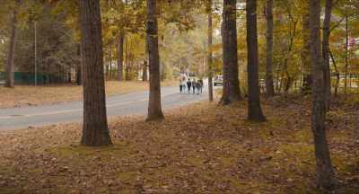 We all walked from
our neighborhood - Spirit of Friendship
