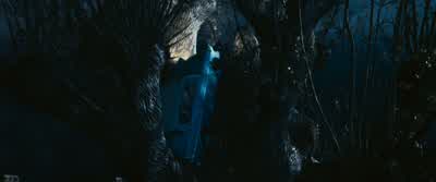 ...we almost get killed by a tree... - Harry Potter and the Chamber of Secrets