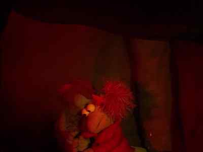 We almost had it, everybody!
Next time it moves! - Fraggle Rock
