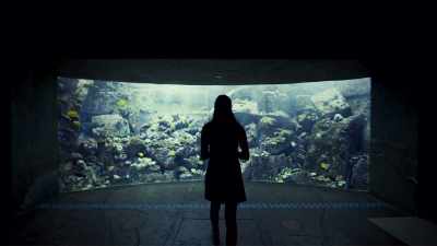 We already have demonstrated,
 in laboratories, - The Interdimensional Connection
