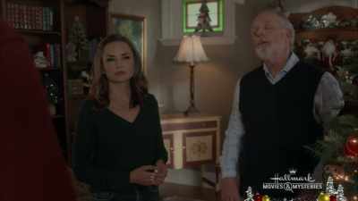 We already have every last bit
of Christmas - A Blue Ridge Mountain Christmas