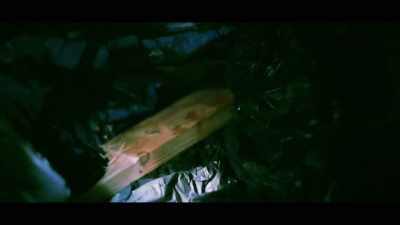 We also found a small
wooden block which, at the time, - The Real Prime Suspect