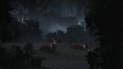 We are being watched. Are there ghosts here? - The Queen's Corgi
