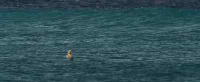 We are counting down to end this final. - Soul Surfer