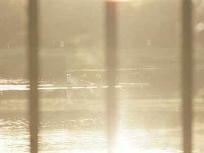 "We are digging there
on the rowing course," - Occupied City