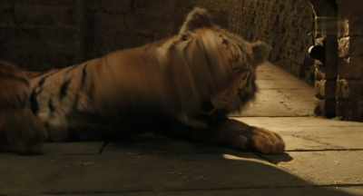 - We are doing this.
- (growls) - Dolittle