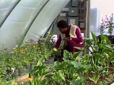 We are going to be creating farmland - Wild Wild Country
