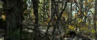 We are good right. - Lone Survivor