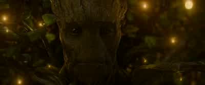We are Groot. - Guardians of the Galaxy