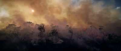 We are in the beginning
of a mass extinction - The Lost Century: And How to Reclaim It