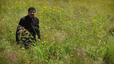 We are indebted to the bees
and their fellow pollinators - Cosmos: Possible Worlds