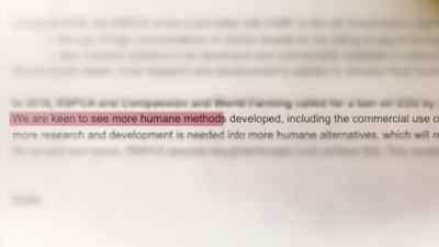 "We are keen to see more humane methods developed, - Pignorant