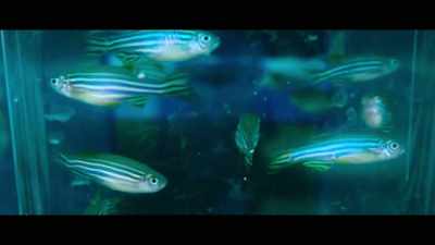 We are learning how to copy,
edit, paste DNA, - Unnatural Selection