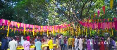 We are live from Chandrika elephant - Junglee
