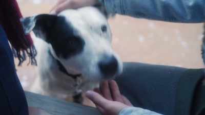 We are. Look how cute
we look together. - The Dog Days of Christmas