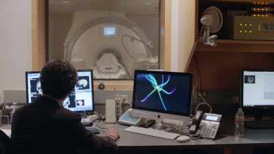 WE ARE LOOKING AT
TWO SPECIFIC BRAIN REGIONS. - Why We Hate