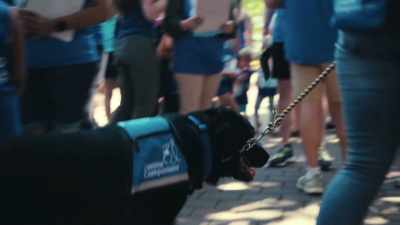 We are looking for how the dog
thinks, feels, and operates. - Inside the Mind of a Dog