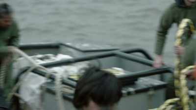 We are not safe here. All inside. - Sharknado 5: Global Swarming