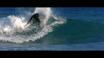 We are really, really
trying as hard as we can - Envoy: Shark Cull