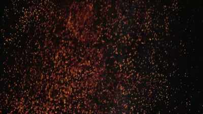 We are sitting,
in a very real sense, - Universe