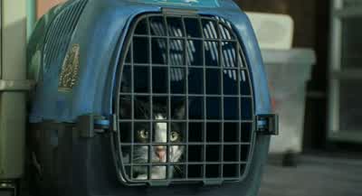 We are so out of here, Louie. - The Princess Diaries
