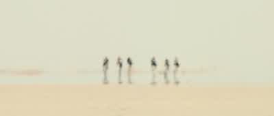 We are still... - Jarhead