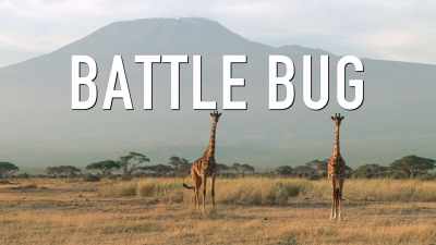 - We are...
- The Battle Bug Bros! - Absurd Planet