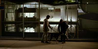 We are The Catalyst,
and now a special selection from Brian. - Bosch: Legacy