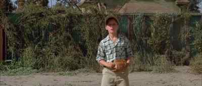 We are waiting! - The Sandlot