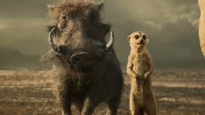 Hey hey look A birdTimon Pumbaa this is ZazuOh wow It's a puffinCharmingSimba we are with you until the endWe are at your service my liegeFollow me - The Lion King