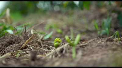 We believe landowners, - Kiss the Ground
