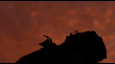 We broke the world We did thisMan did thisEverything that was beautifuleverything that was goodwe shatteredNowit begins again - Noah