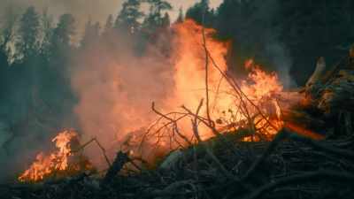 WE BUILT BIGGER
AND HOTTER FIRES, - Origins: The Journey of Humankind