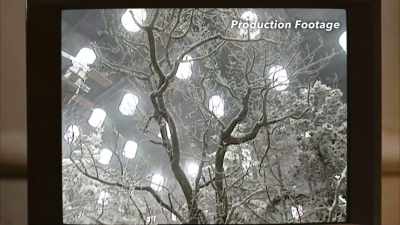 We built the whole forest,
we snowed it all up, - Prop Culture