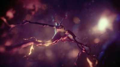 We call them neurons. - One Strange Rock