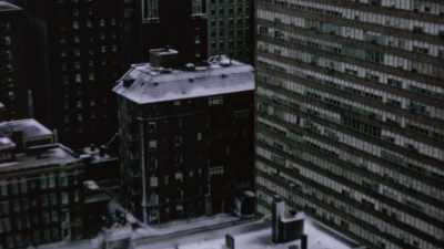 We called for I think it was two days, - The Janes