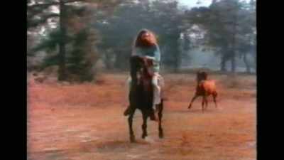 We called it Sparkle City, - If I Leave Here Tomorrow: A Film About Lynyrd Skynyrd