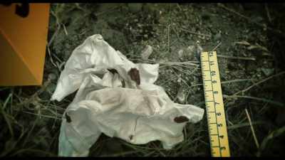 We came across a bloodstained tissue, - Murder by the Coast