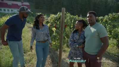 We came into town to
meet with the caterer, - Napa Ever After