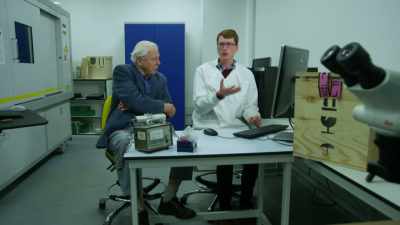 We can actually start
using this paddle - Attenborough and the Sea Dragon