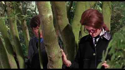 - We can go in now. - Eye of the Cat
