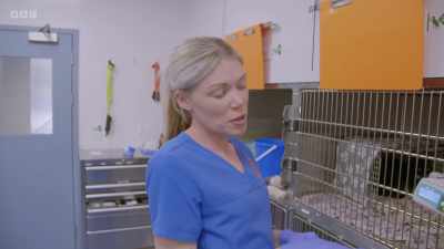 We can offer her some food.
We started her on some medication - 24/7 Pet Hospital