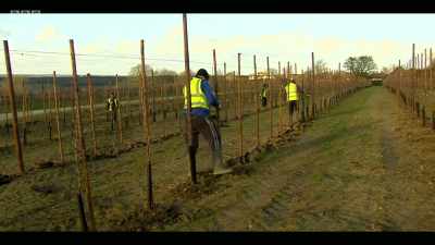 We can plant trees, - Extinction: The Facts