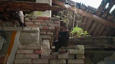 We can see what was considered
beautiful at that time - Mysteries of the Abandoned