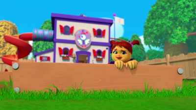 We can talk from here
until we know - The Chicken Squad